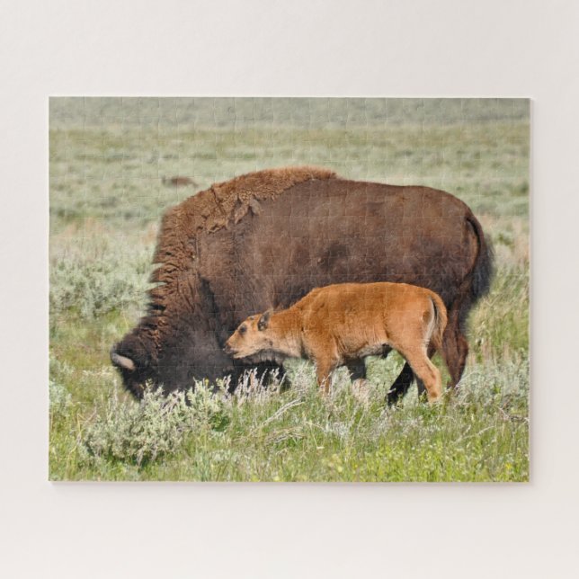 Bison Mama e Baby Design Quebra-cabeça (Horizontal)