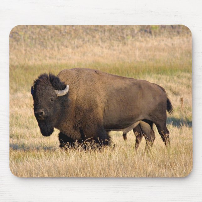 Bison mousepad (Frente)