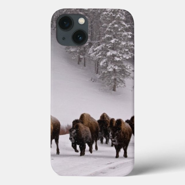 Bison no inverno (Verso)