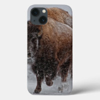 Bisonte de Yellowstone