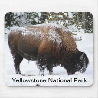 Bisonte de Yellowstone no inverno Mousepad