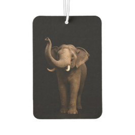 Black 4 Luxe Car Air Fresheners, Mighty Elephant