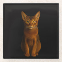 Black 4 Luxe Glass coaster, Abyssinian Beauty