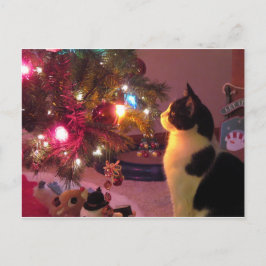 Black and White Cat com cartão postal da árvore de