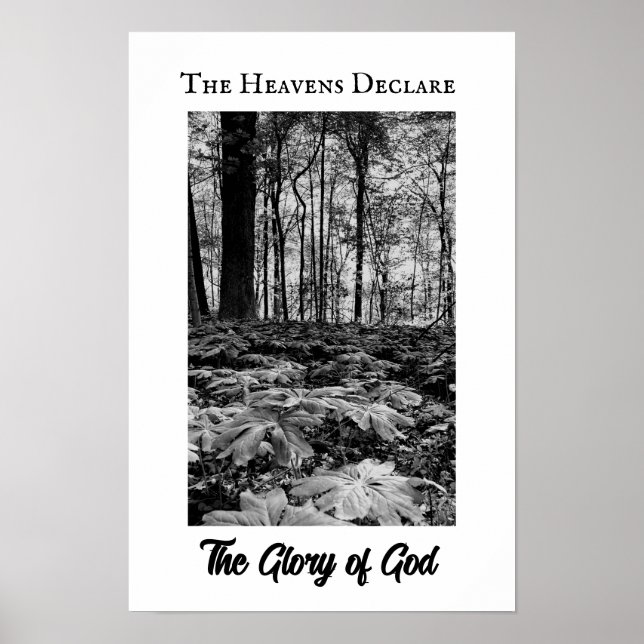 Black and White Forest Glory of God Poster (Frente)