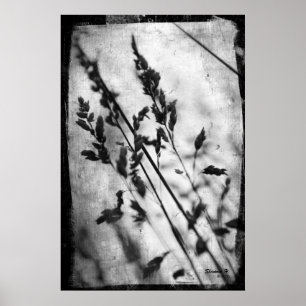 Black and White Grass Poster