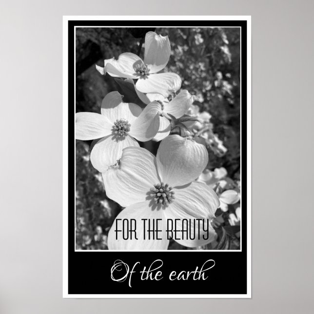 Black and White Reflections For the Beauty Poster (Frente)