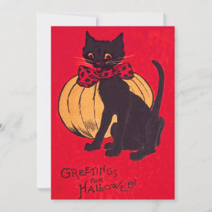 Black Cat Bowtie Pumpkin Vintage