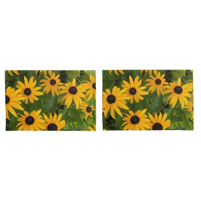 Black Eyed Susan (Frente - conjunto)