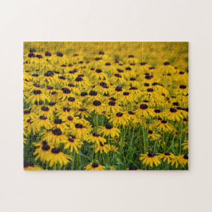 Black Eyed Susan - Floral Quebra-cabeça