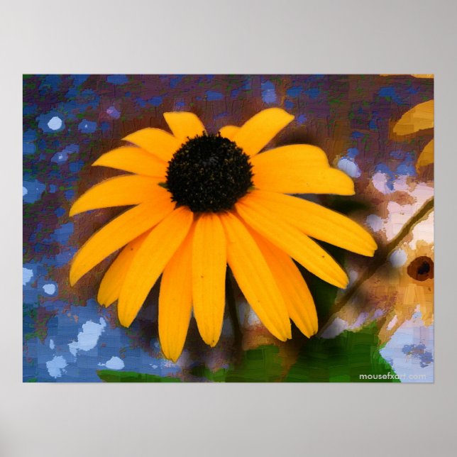 Black Eyed Susan Poster (Frente)