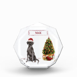 Black Lab Engraçado Cachorro de Natal e Árvore