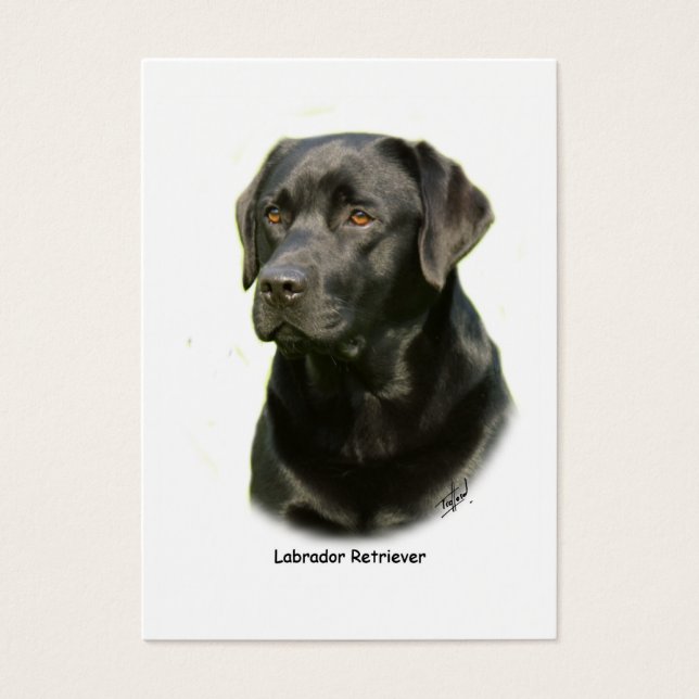 Black Labrador Retriever (Frente)