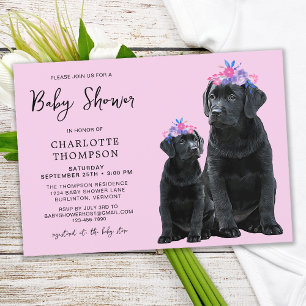 Black Labrador Retriever Puppy Pink Girl Convida