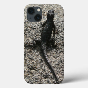 Black Lizard