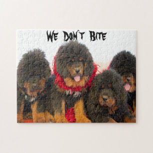 Black Tibetan Mastiff dog Jigsera Quebra-cabeça