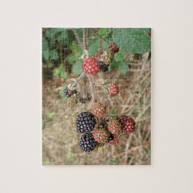 Blackberry Bonanza Quebra-cabeça (Vertical)