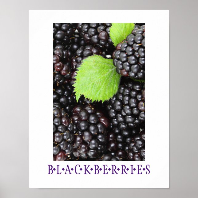 Blackberry Kitchen Art Poster (Frente)