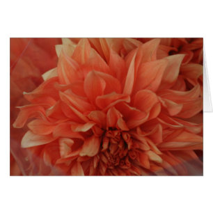 *Blank vermelho do cartão da flor