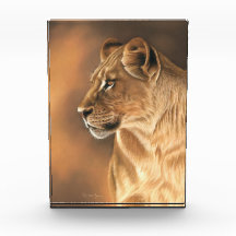 Bloco da foto da leoa