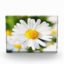 Bloco de Fotografias