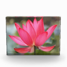 Bloco de Fotografias