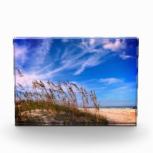 Bloco de Fotografias "Florida Sea Oats"