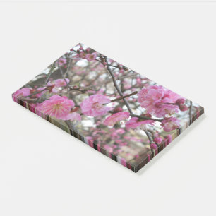 Bloco De Notas 桜 do (cor-de-rosa da flor de cerejeira/Sakura/