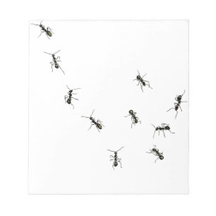 Bloco De Notas 10 ants