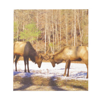 Bloco De Notas 2~ 2 Bull Elk na neve