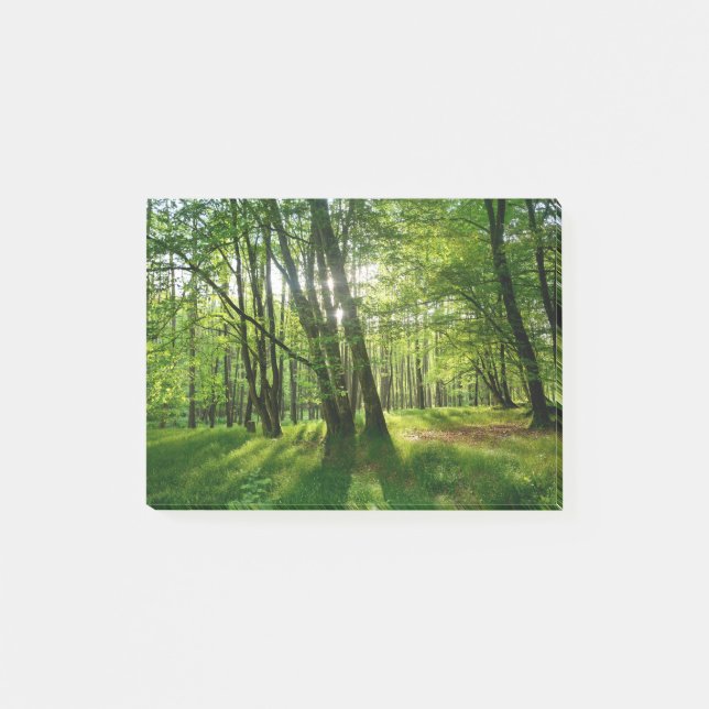 Bloco De Notas A floresta na primavera (Frente)