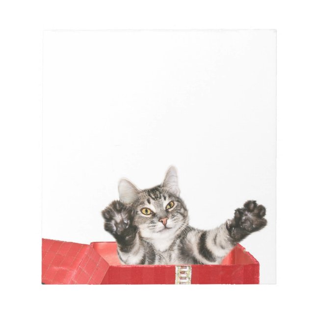 Bloco De Notas Abraço do Natal do gatinho (Frente)