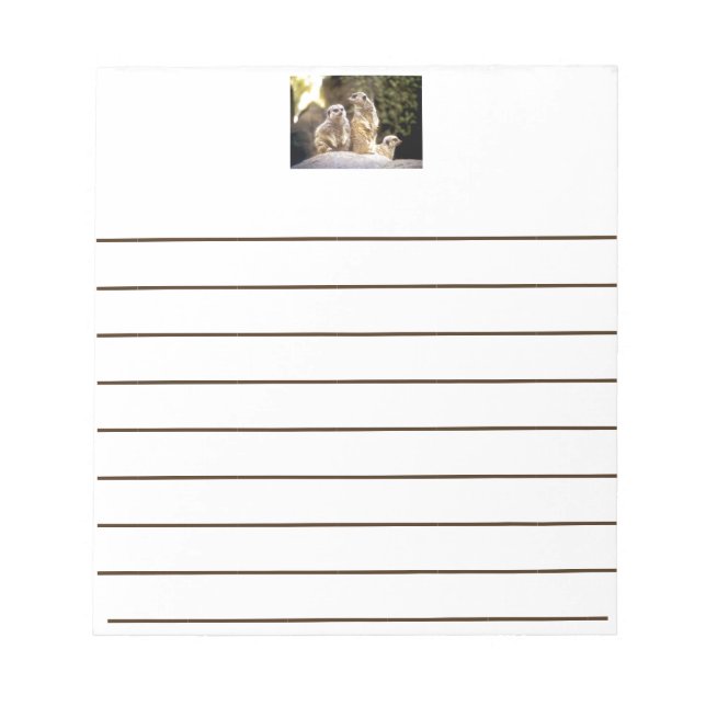 Bloco De Notas Act Natural Meerkats (Frente)