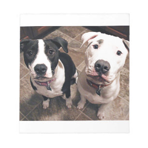 Bloco De Notas adoráveis cachorros-piranha