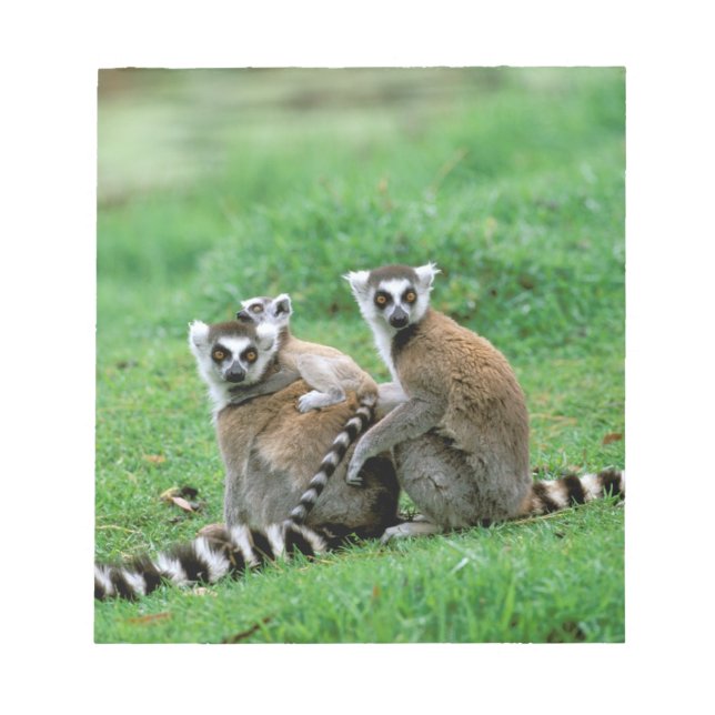 Bloco De Notas África, Madagáscar, Antananarivo, Tsimbaza (Frente)