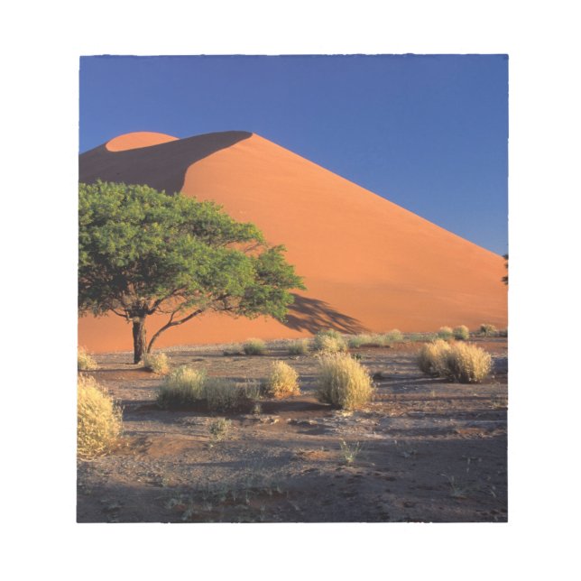 Bloco De Notas África, Namíbia, Parque Namibe-Naukluft, Sossosvle (Frente)
