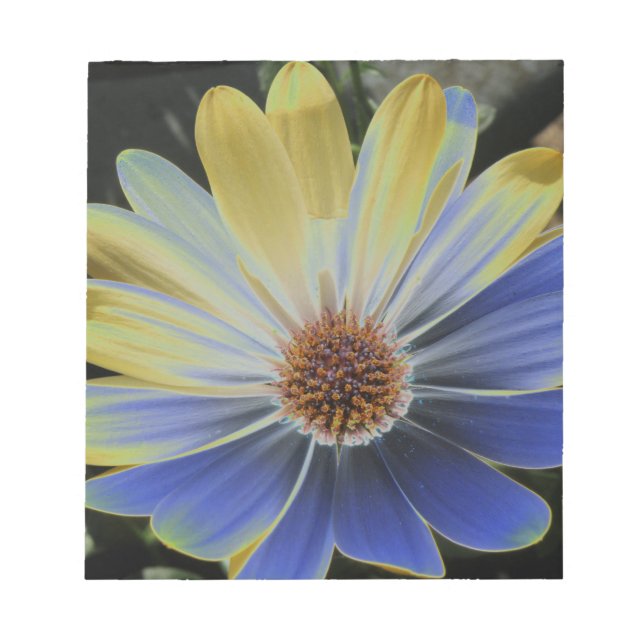 Bloco De Notas African Daisy Lapis e Dourado Notepad (Frente)