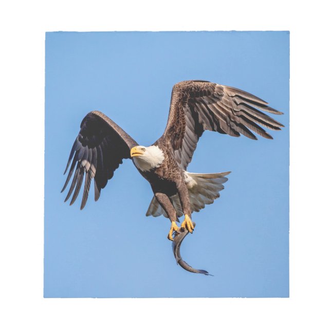 Bloco De Notas Águia-careca com um peixe (Frente)