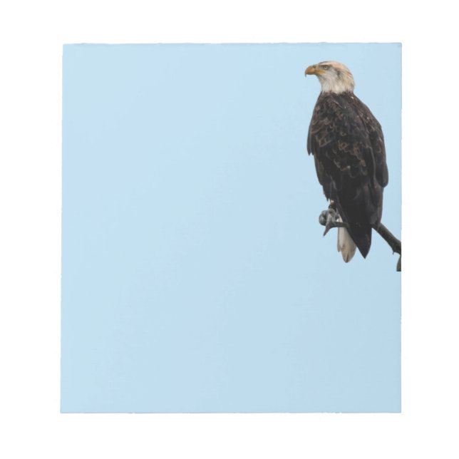 Bloco De Notas Águia de anotações (Frente)