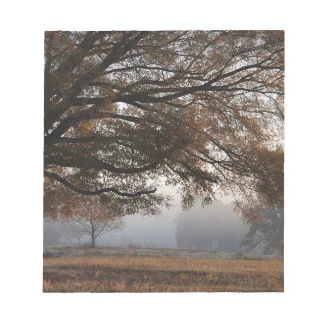 Bloco De Notas Alcance (Frente)