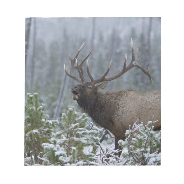 Bloco De Notas Alce macho na neve chamando, Yellowstone (Frente)