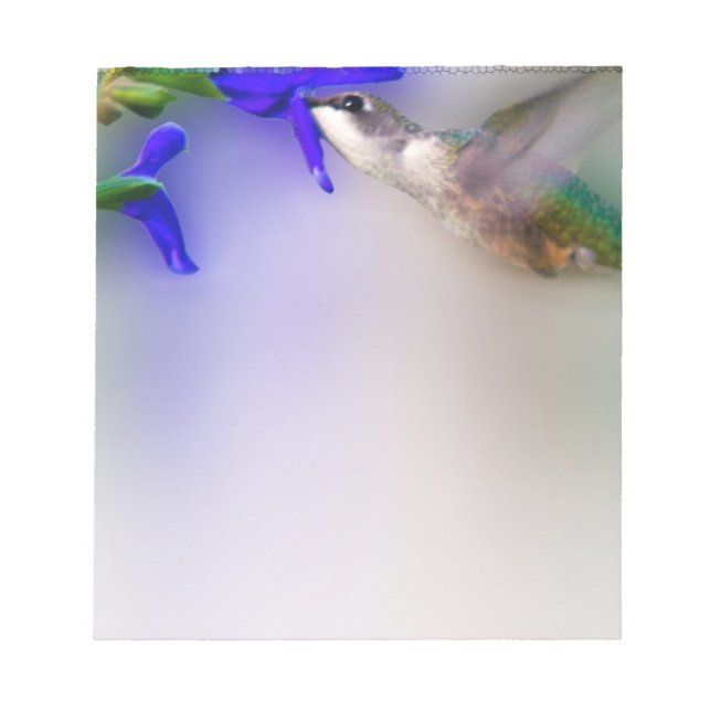 Bloco De Notas Almoço do Hummingbird (Frente)