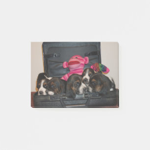 Bloco De Notas Almofada de nota do filhote de cachorro do cão de