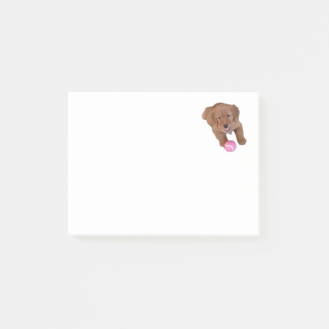 Bloco De Notas Almofada de nota do post-it do golden retriever (Frente)
