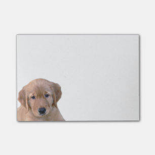 Bloco De Notas Almofada de nota do post-it do golden retriever