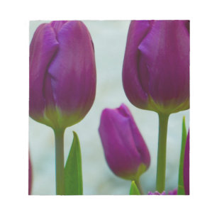Bloco De Notas Almofada de nota roxa das tulipas