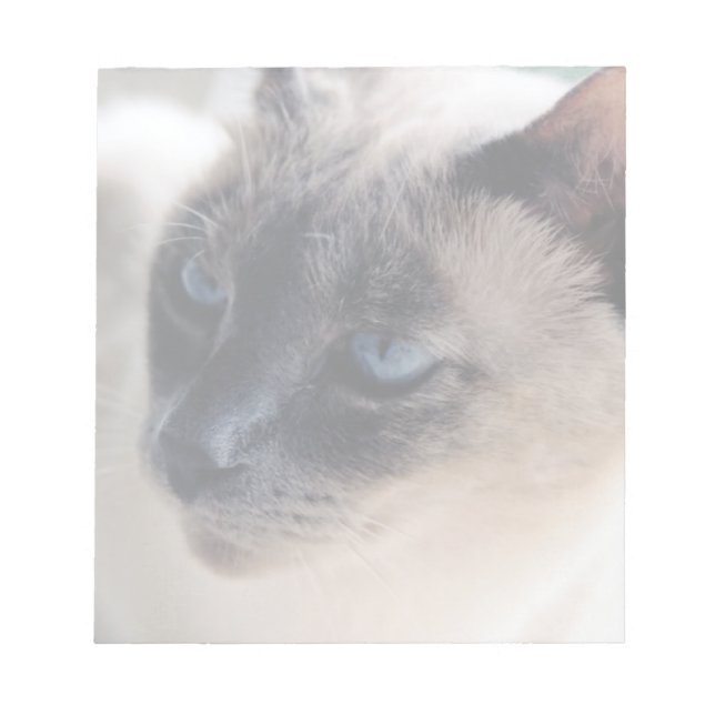 Bloco De Notas Aloof Siamese Cat Notepad (Frente)
