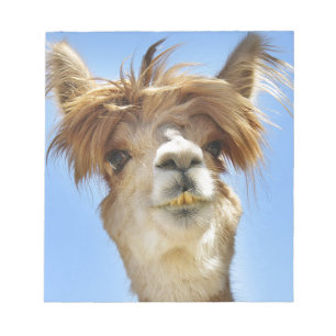Bloco De Notas Alpaca com cabelo louco