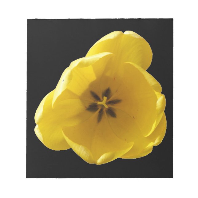 Bloco de notas amarelo (Frente)