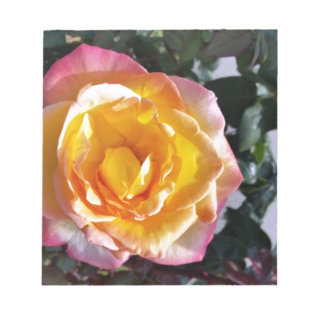 Bloco De Notas amarelo e rosa (Frente)